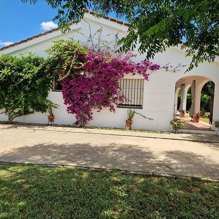 Casa En El Campo Cerca De Sevilla La Rinconada Buitenkant foto