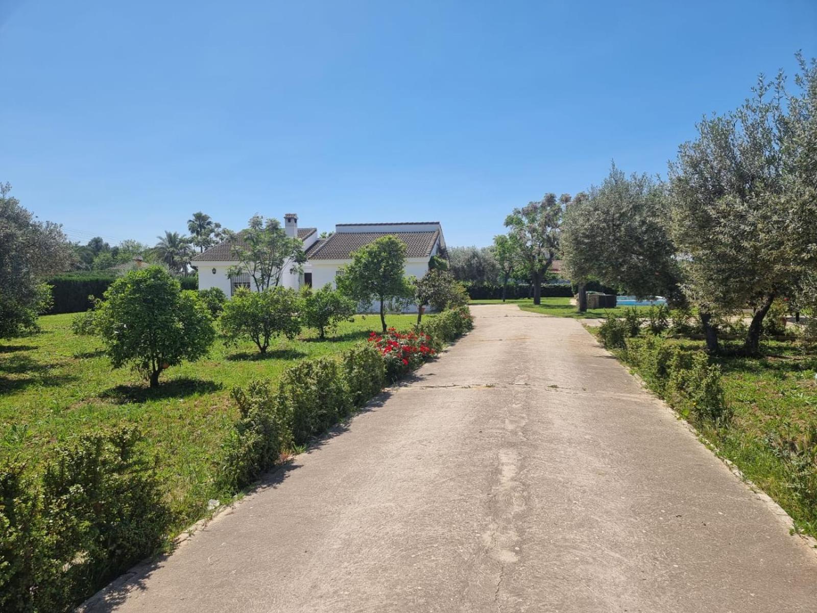Casa En El Campo Cerca De Sevilla La Rinconada Buitenkant foto