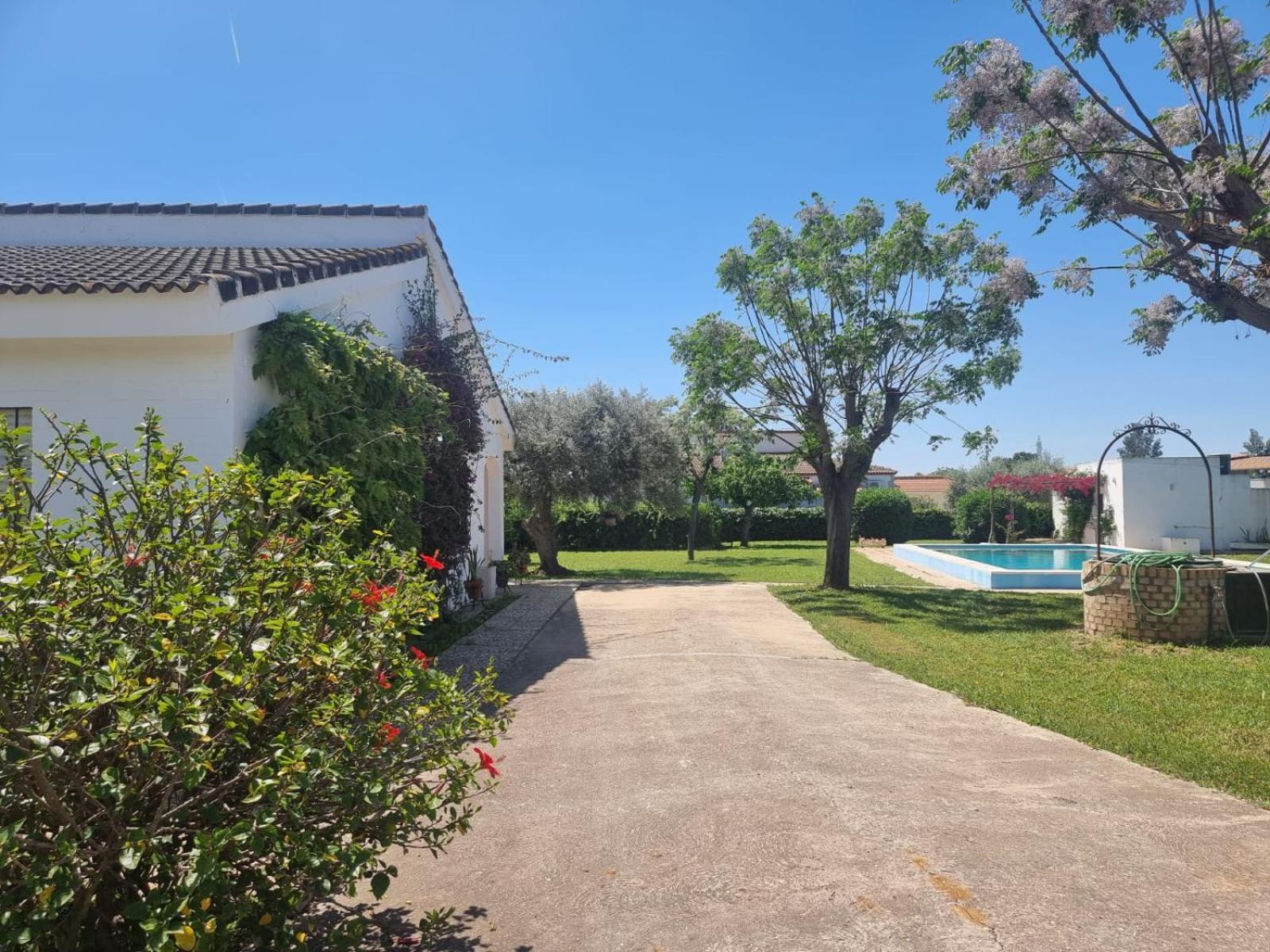 Casa En El Campo Cerca De Sevilla La Rinconada Buitenkant foto