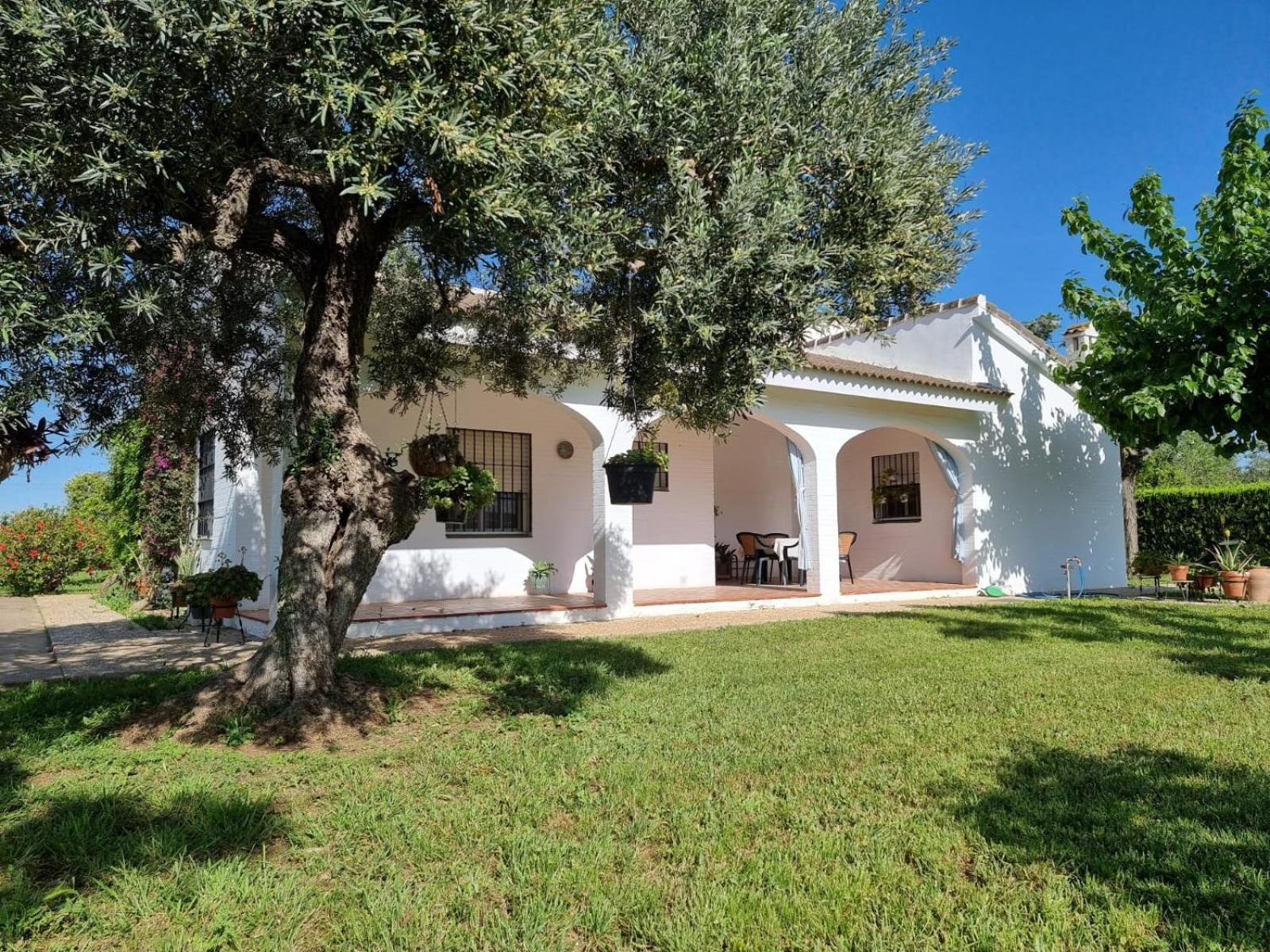 Casa En El Campo Cerca De Sevilla La Rinconada Buitenkant foto