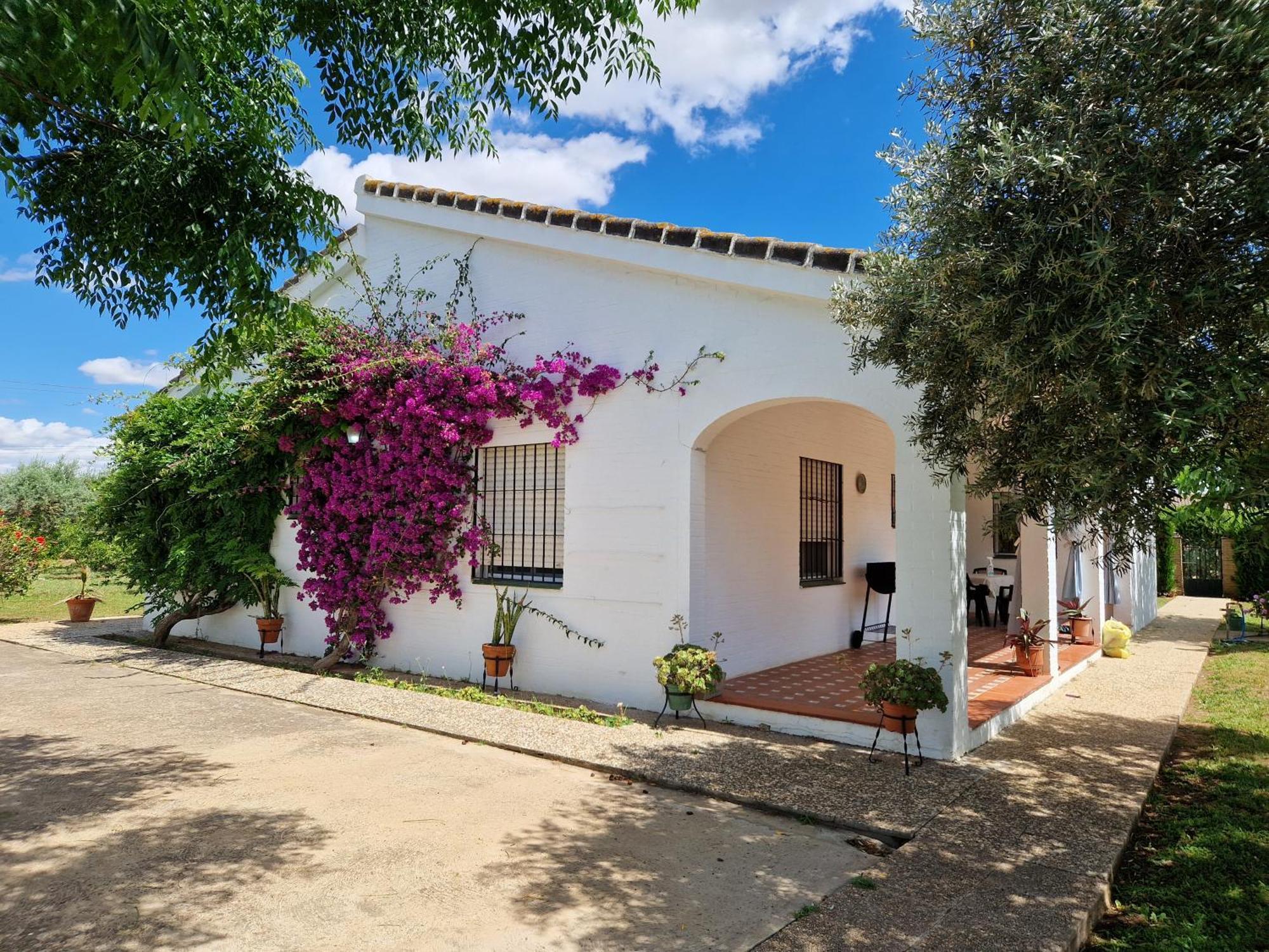 Casa En El Campo Cerca De Sevilla La Rinconada Buitenkant foto